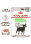 Digestive Care Wet