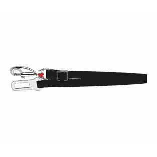 Ceinture de sécurité pour chien