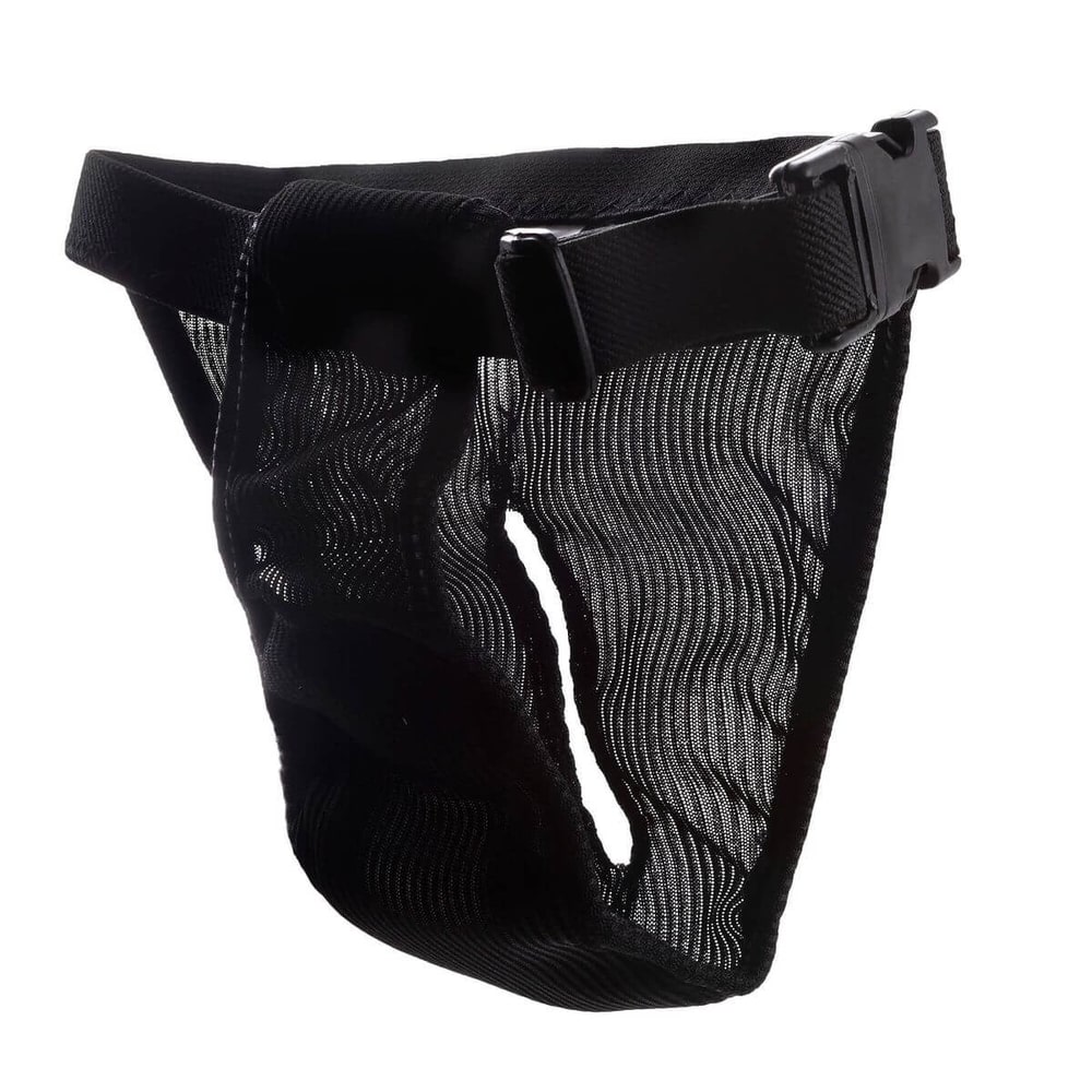 Dog Pants