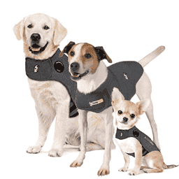 ThunderShirt für Hunde