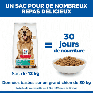 Canine Adult Perfect Weight Large Breed