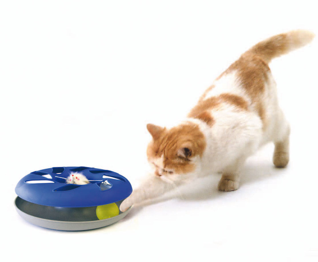 Jouet pour chats swisspet Catsy Roundable