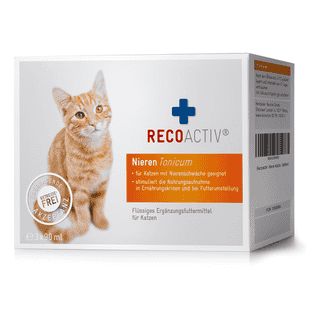 Tonic rénal pour chats