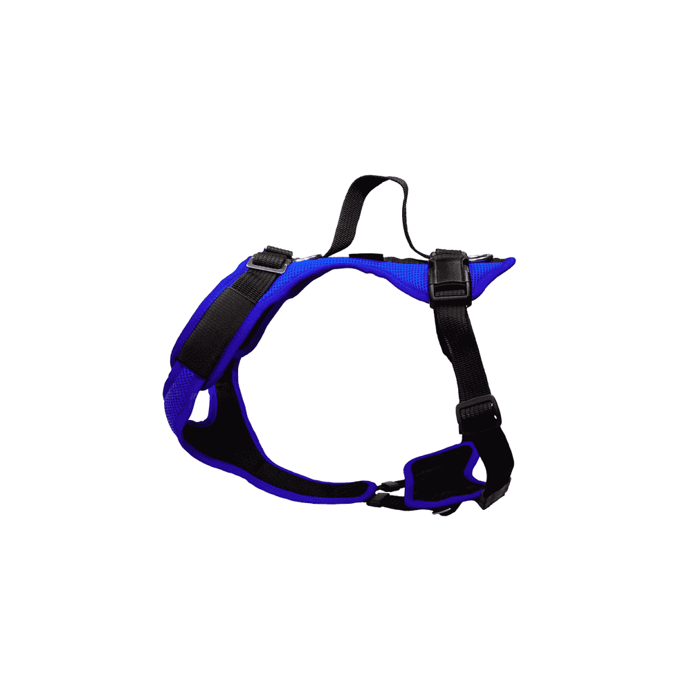 Vary L dog harness, royal blue