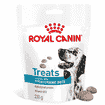 Hypoallergenic Snacks