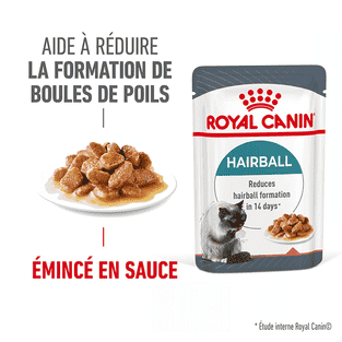 Hairball Care Gravy - Sachet