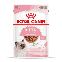 Kitten en sauce - sachet