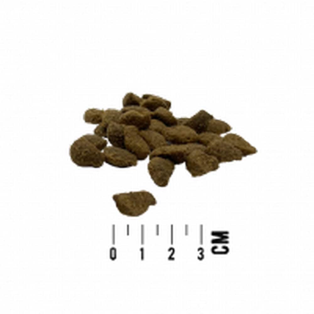 CAT Adult Canard, Dinde & Poulet