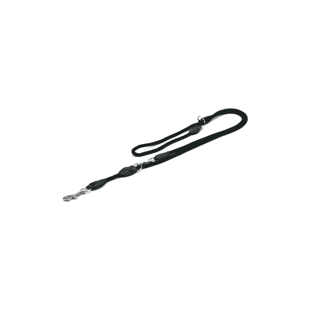 Leash Fun Royal