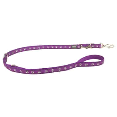 Laisse Design Desert Paws Purple