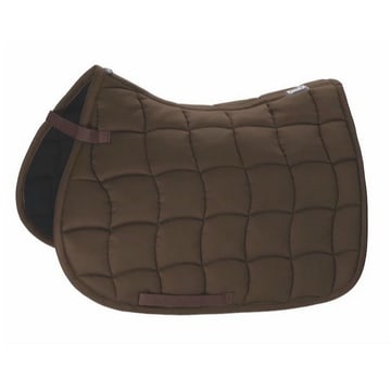 Chabraque Performance demi-sang/dressage