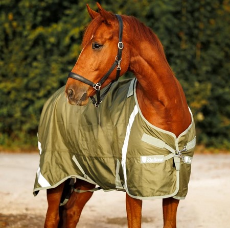 Grazing rug Denver 100 g - olive