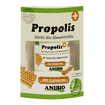 Propolis Kapseln