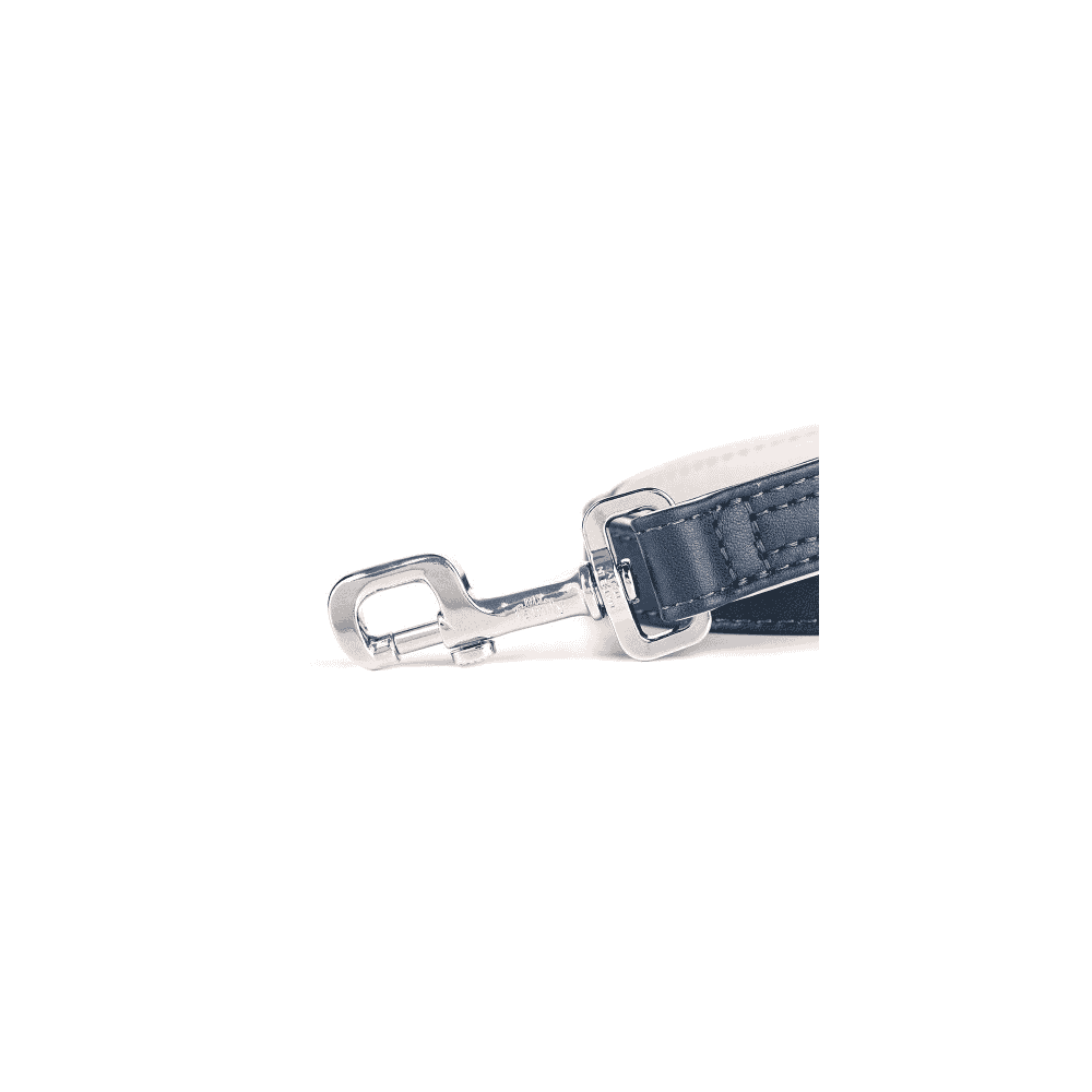 Hermitage Vitello leather Dog leash in blue