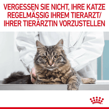 Digestive Care