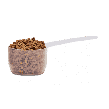 Bonutron Stud G1-l6