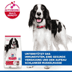 Canine Adult Medium Breed Lamb & Rice