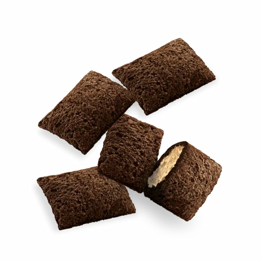 Crunchy Snack au saumon