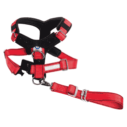 Allsafe Ceinture de sécurité Comfort