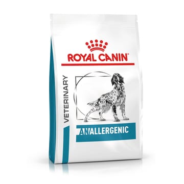 Anallergenic Dog