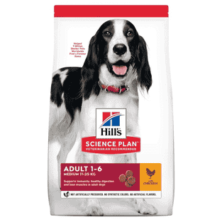 Canine Adult Medium Breed Chicken