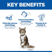 Feline Oral Care