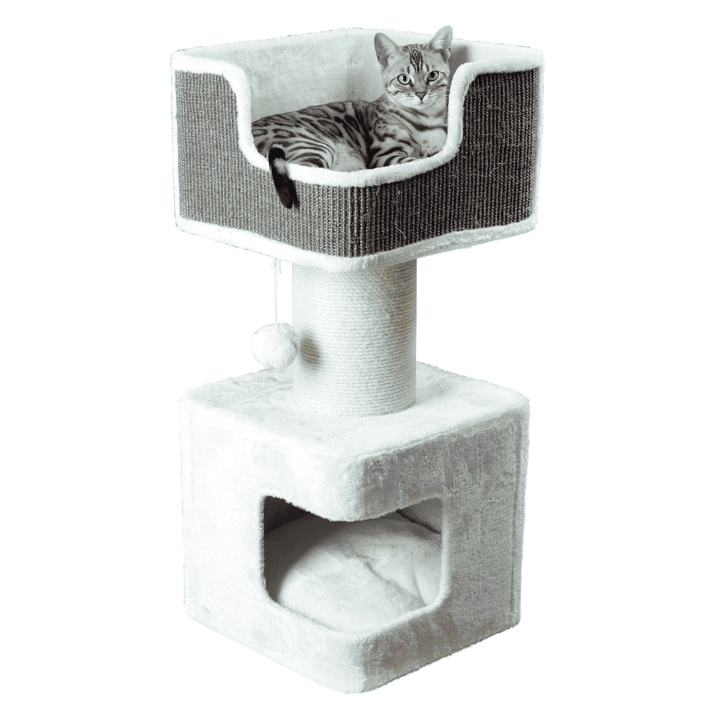Arbre à chat XXL Ava