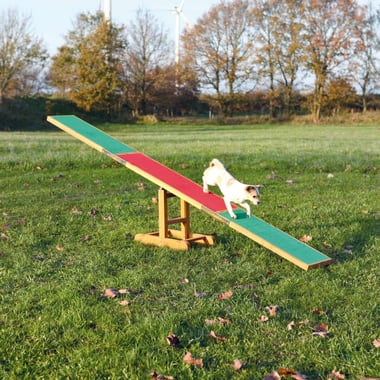 Dog Activity Bascule Agility