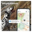 DOG 6 Tracker