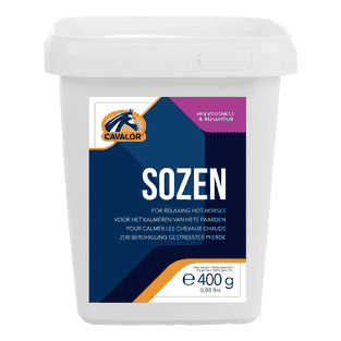 SoZen