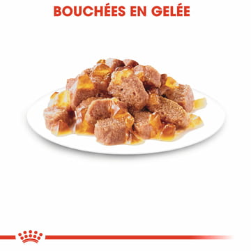 Sterilised en gelée - sachet