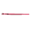 NEON Halsband, pink