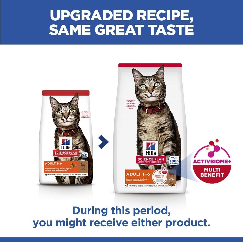 Feline Adult with Lamb