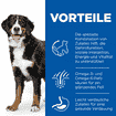 Canine Senior Vitality 6+ Large Breed
