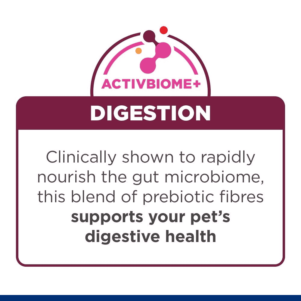 Kitten i/d Digestive Care Chicken