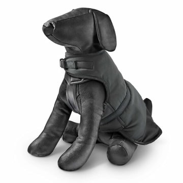 Hundemantel Thermo coat schwarz