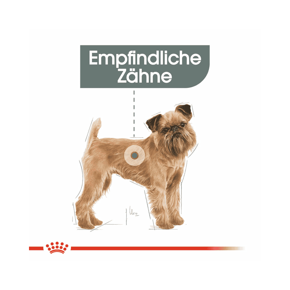 Dental Care Mini