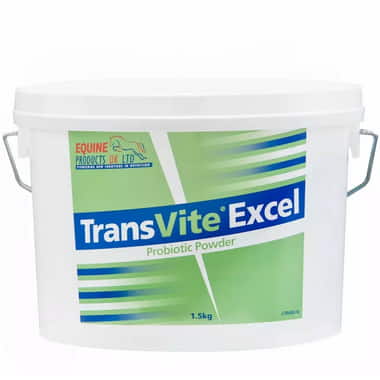 TransVite Excel