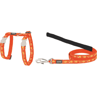 Geschirr & Leine für Katzen Design Breezy Love XS