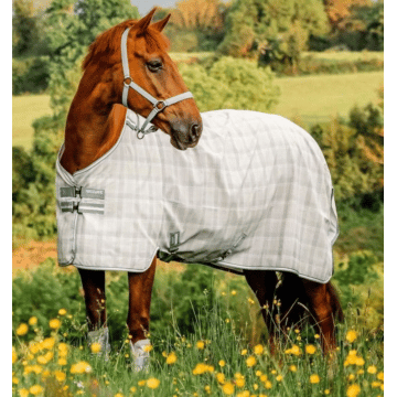 Newmarket Fly Sheet