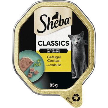 Classics en pate, cocktail de volaille MegaPack