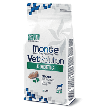 Diabetic Dog