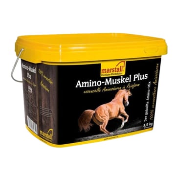 Amino Muscle Plus