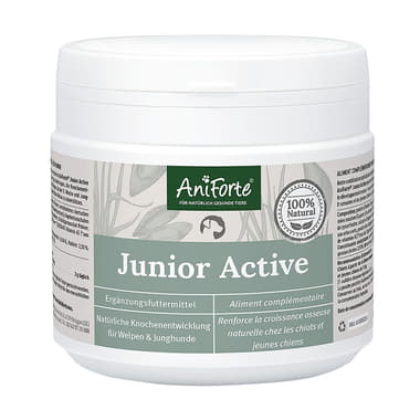Junior Active