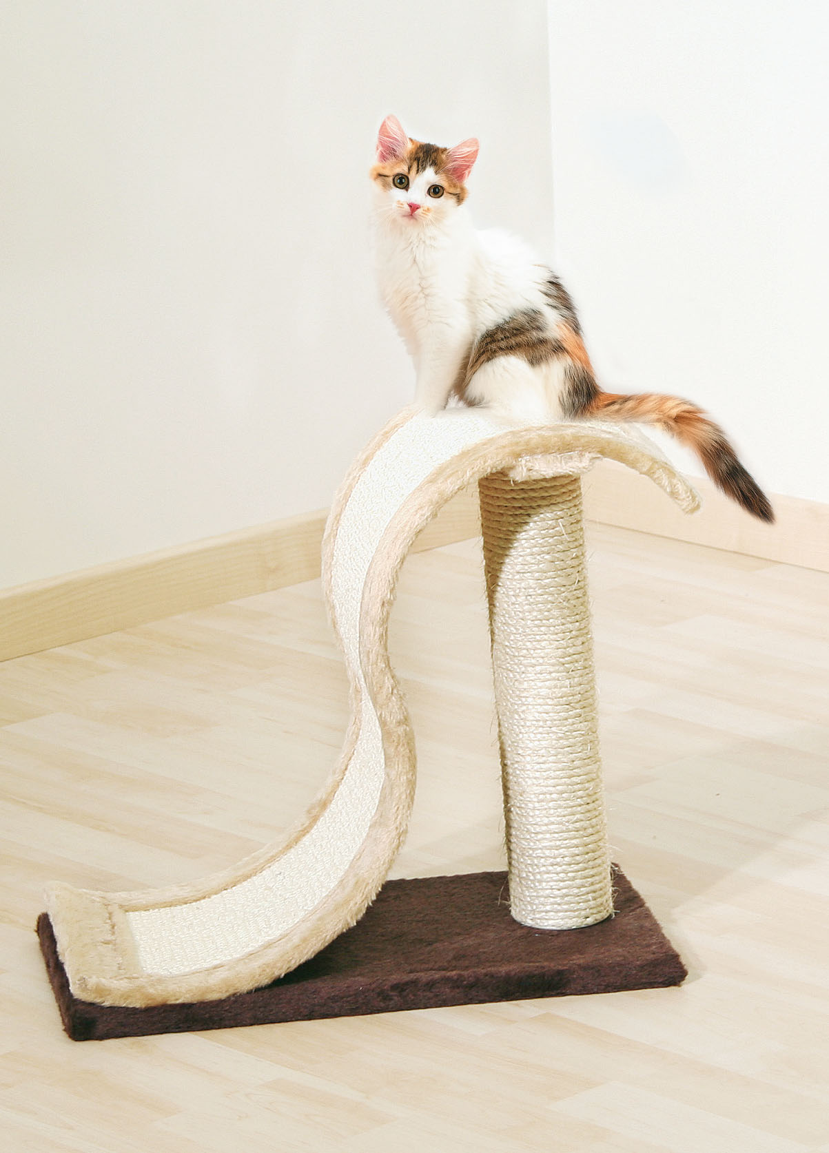 Kitty Scratchy
