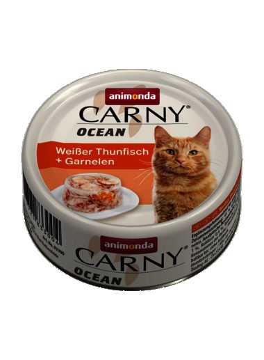 Carny Ocean Adult Cat