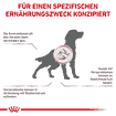 Cardiac Dog