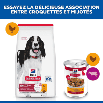 Canine Adult 1-6 Delicious Cuisine with chicken & added vegetables boîte