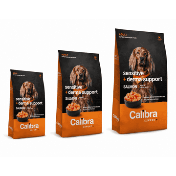 EXPERT + Canine Adult Sensitive & Derma Support Salmon