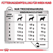 Anallergenic Small Dogs